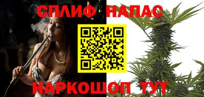 скорость Кингисепп