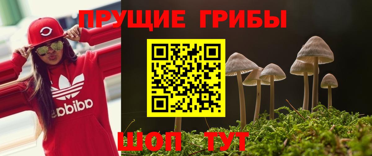 Псилоцибиновые грибы MAGIC MUSHROOMS  Вход с VPN  Дивногорск 
